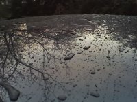 29-10-06_1810.jpg