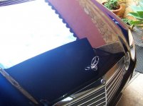 frontal 3.JPG