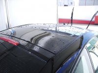 IMG_0100.JPG