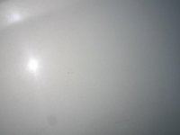 IMG_1321.jpg