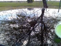 Imagen019.jpg