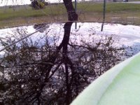 Imagen020.jpg
