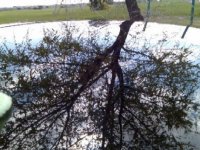 Imagen024.jpg