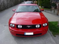 DSC07227-3.jpg