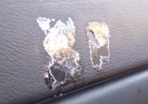 foto1.jpg