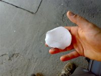 10082008189 (Small).jpg