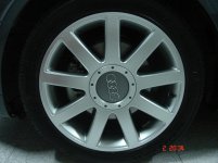 DSC01342.jpg