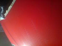 DSC01207.jpg