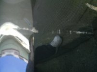 IMAG0078.jpg