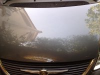 20082009233.jpg