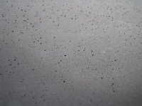 IMG_0048.jpg