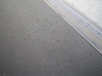 IMG_0050.jpg