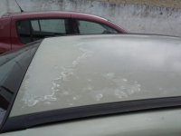 IMG039.jpg