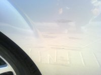 01072010011.jpg