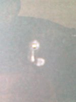 10042011145.jpg