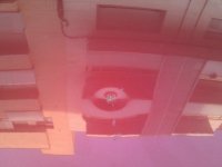 IMG_20110411_182359.jpg