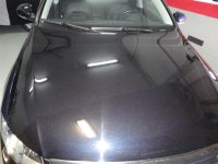 DSC00540 (Medium).JPG