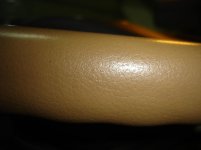 DSC01828.jpg