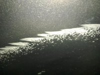 26082011527.jpg