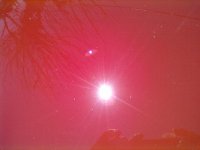 24092011185.jpg