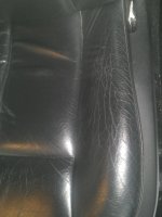 IMG335.jpg