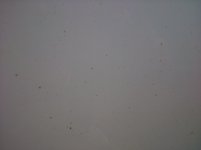 DSC_0863.jpg