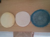 20150504_163005.jpg