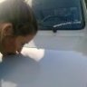 ESTETIC_CAR