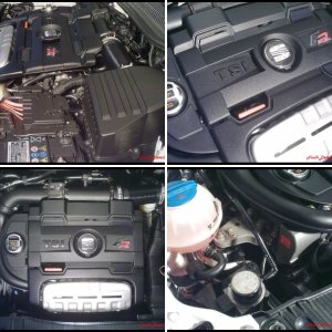 Detallado Seat Ibiza Bocanegra