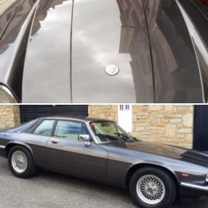 Jaguar